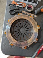 PXL_20250508_001650487.jpg