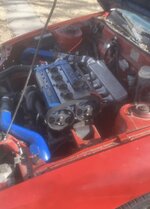 IMG_4375.jpeg