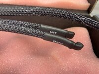 IMG_8986.jpeg