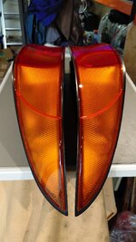 IMG_20250525_165206.jpg