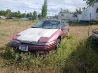 20250523_170657.jpg