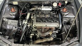 IMG_8081.jpeg