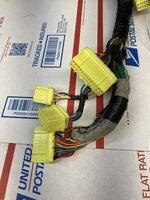IMG_9381.jpeg