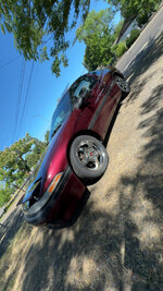 IMG_2971.jpeg