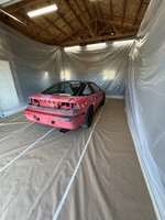 IMG_9565.jpeg