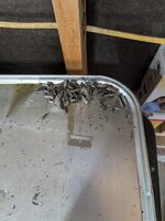 PXL_20250614_184905430.jpg