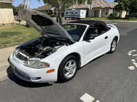 IMG_1999.jpeg
