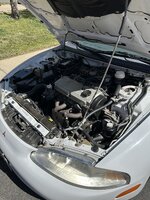 IMG_1998.jpeg