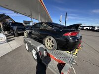 IMG_5979.jpeg
