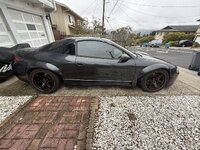IMG_7651.jpeg