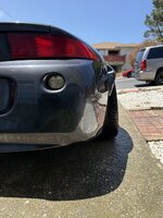IMG_7608.jpeg