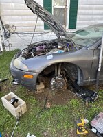 IMG_2241.jpeg