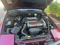 IMG_8667.jpeg