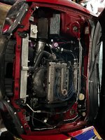 IMG_2449.jpeg