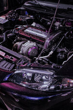 IMG_9618-1.JPG
