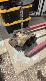 IMG_5928.jpeg
