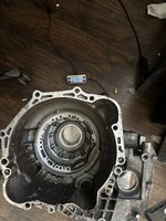 IMG_5929.jpeg