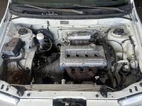 IMG_6061.jpeg