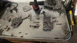IMG_6586.jpeg