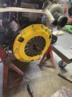 IMG_4955.JPEG