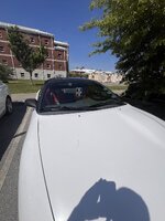 IMG_7283.jpeg
