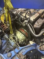 IMG_2229.jpeg