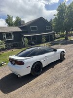 IMG_1826.jpeg