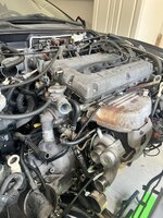 IMG_5082.jpeg
