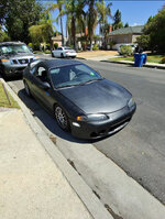 IMG_2414.jpeg