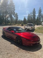 IMG_6523.jpeg