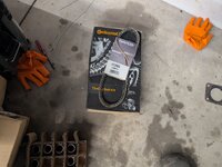 PXL_20250908_025157524.jpg