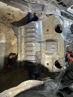 IMG_7484.jpeg