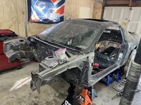 IMG_7863.jpeg