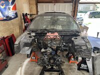 IMG_7865.jpeg
