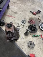 IMG_9669.jpeg