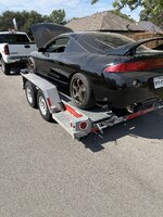 IMG_3378.jpeg