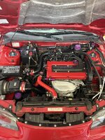 IMG_6023.jpeg