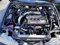 IMG_2186.jpeg