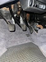 IMG_5908.jpeg