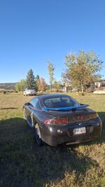 20251007_165637.jpg