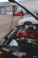 IMG_6848.jpeg