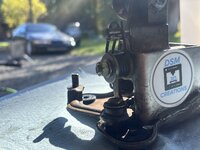 IMG_2365.jpeg