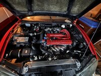 IMG_6265.jpeg