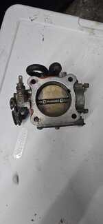 Many throttle bodies for sale
