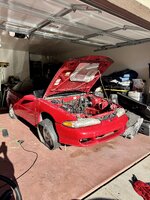 IMG_7861.jpeg