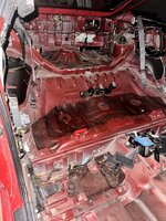 IMG_7872.jpeg