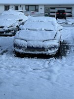 IMG_5755.jpeg