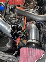 IMG_4015.jpeg
