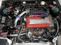 IMG_4024.jpeg