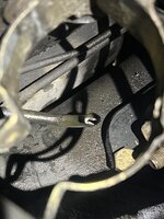 IMG_5375.jpeg